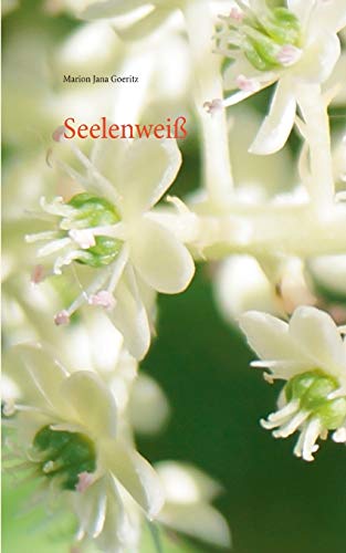 Seelenei (german Edition) [Paperback]