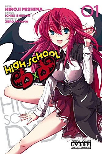 High School DxD, Vol. 1 [Paperback]