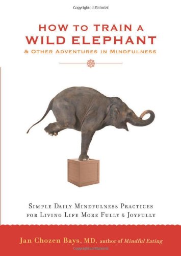 How to Train a Wild Elephant: And Other Adven