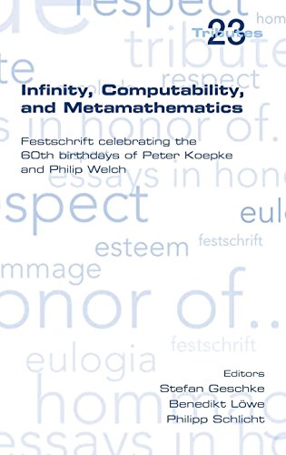 Infinity, Computability and Metamathematics [Hardcover]