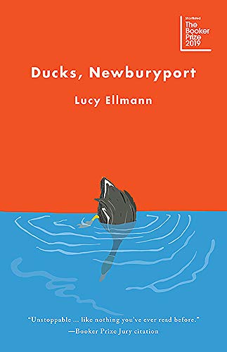 Ducks, Newburyport [Paperback]