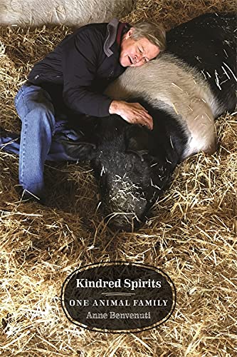 Kindred Spirits: One Animal Family [Paperback