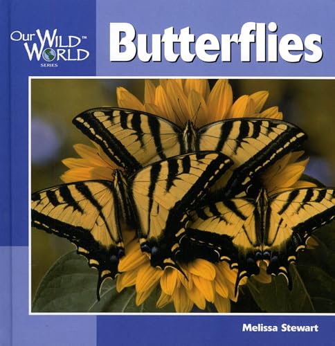 Butterflies [Paperback]