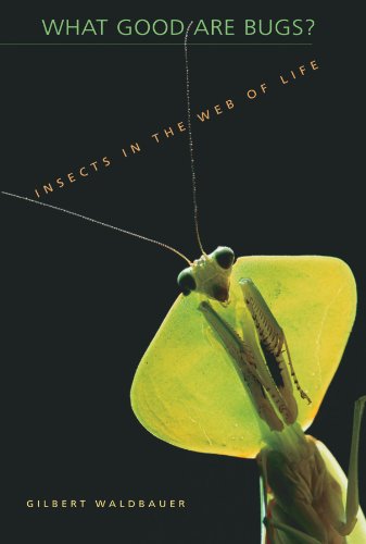 What Good Are Bugs Insects in the Web of Life [Paperback]