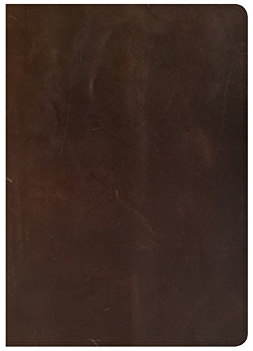 Csb She Reads Truth Bible, Brown Genuine Leather, Indexed [Leather Bound]