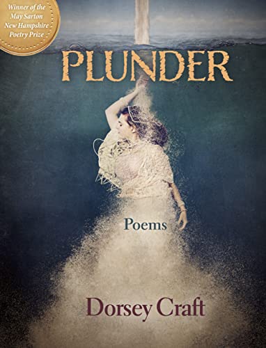 Plunder: Poems [Paperback]