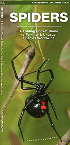 Spiders: A Folding Pocket Guide to Familiar Species Worldwide [Pamphlet]