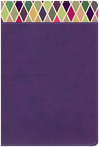 CSB Rainbow Study Bible, Purple LeatherTouch