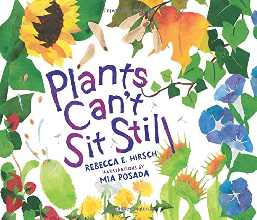 Plants Can't Sit Still (millbrook Picture Books) [School & Library Bin]