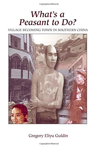 What's A Peasant To Do Village Becoming Ton In Southern China [Paperback]