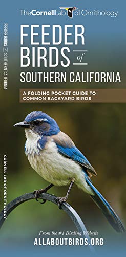 Feeder Birds of Southern California: A Folding Pocket Guide to Common Backyard B [Pamphlet]