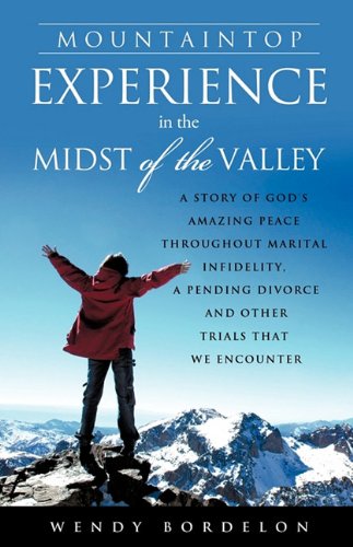 Mountaintop Experience In The Midst Of The Valley [Paperback]