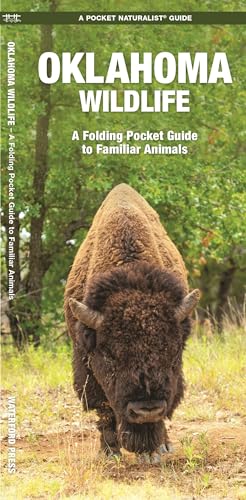 Oklahoma Wildlife: A Folding Pocket Guide to Familiar Species [Pamphlet]