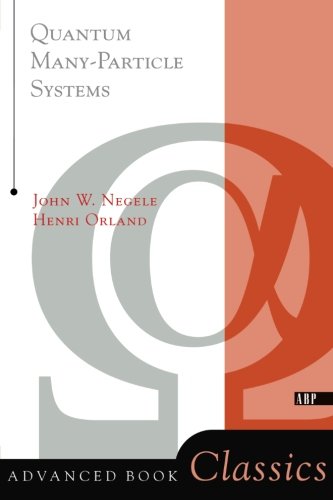 Quantum Many-particle Systems [Paperback]