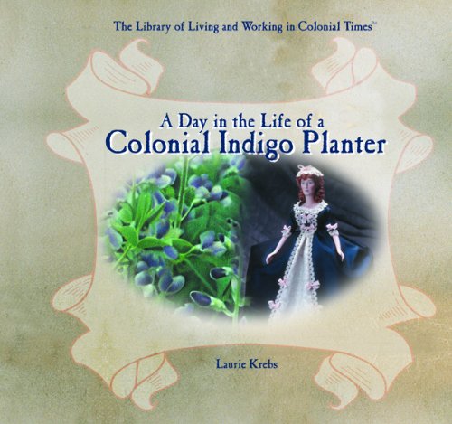 Day in the Life of a Colonial Indigo Planter [Unknown]