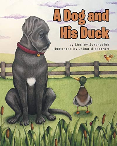 Dog and His Duck [Paperback]