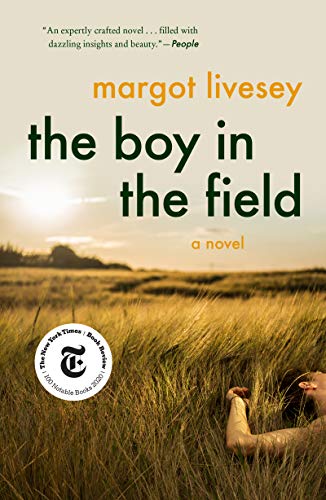 The Boy in the Field: A Novel [Paperback]