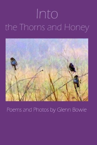 Into The Thorns And Honey [Paperback]