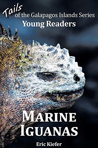 Marine Iguanas - Tails of the Galapagos Islands Series [Paperback]