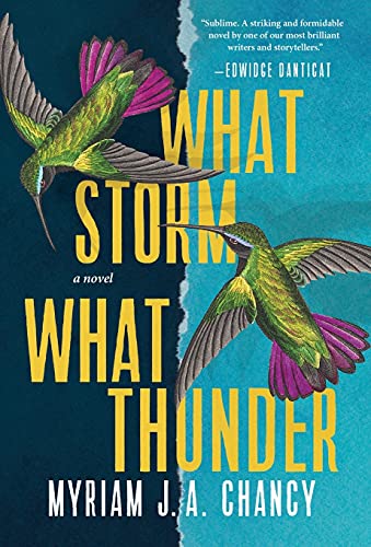 What Storm, What Thunder [Hardcover]