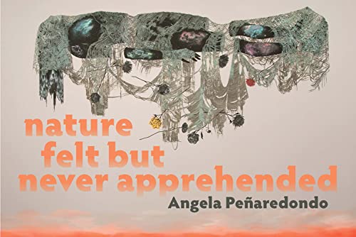 nature felt but never apprehended [Paperback]