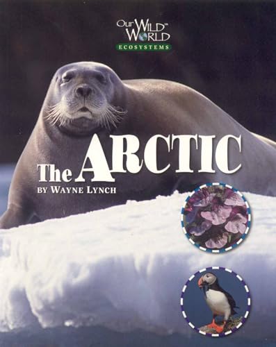 Arctic [Paperback]