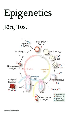 Epigenetics [Hardcover]