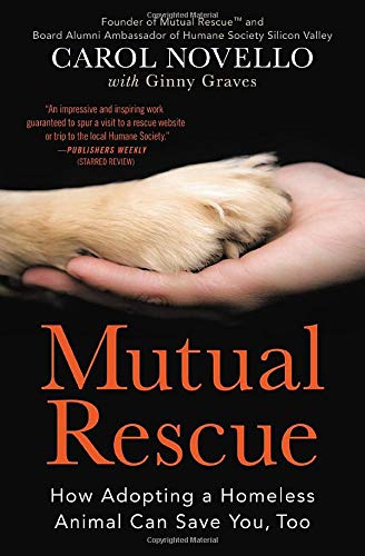 Mutual Rescue: How Adopting a Homeless Animal