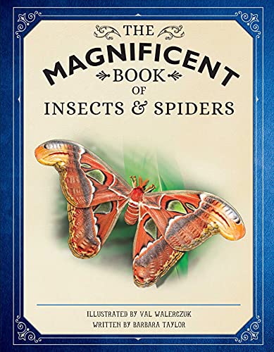 The Magnificent Book of Insects and Spiders: