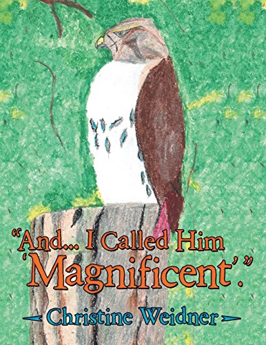 And... I Called Him 'magnificent'. [Paperback]