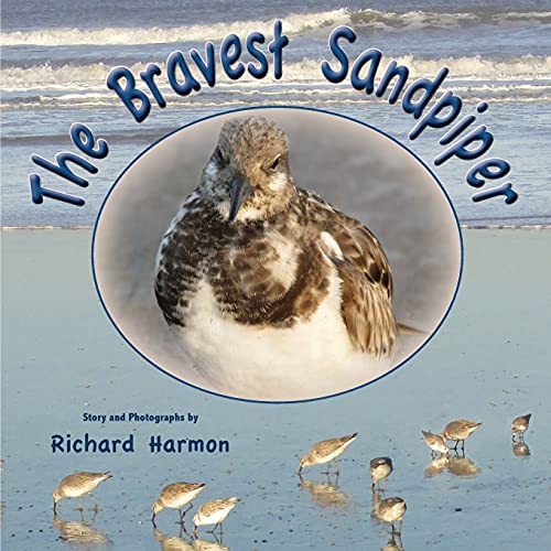 Bravest Sandpiper