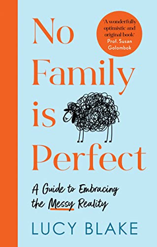 No Family is Perfect: A Guide to Embracing the Messy Reality [Paperback]