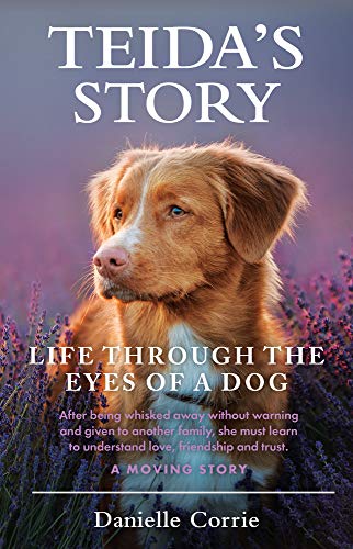 Teida's Story: Life Through the Eyes of a Dog [Paperback]