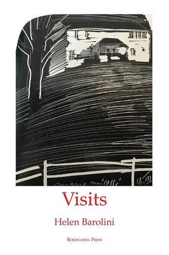 Visits [Paperback]