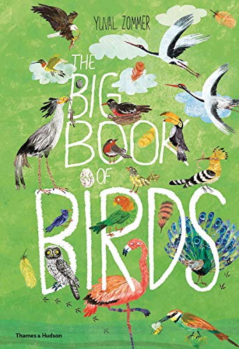 The Big Book of Birds [Hardcover]