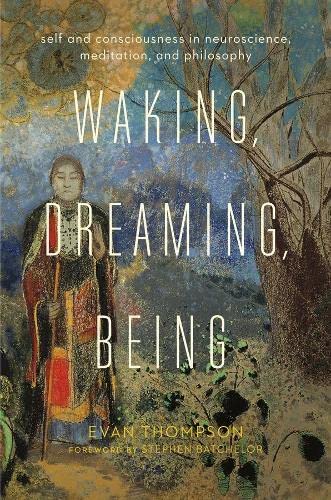 Waking, Dreaming, Being Self and Consciousness in Neuroscience, Meditation, and [Paperback]