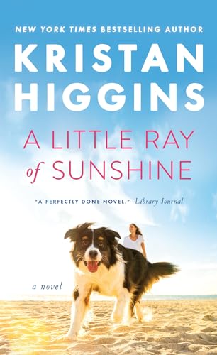 A Little Ray of Sunshine [Paperback]