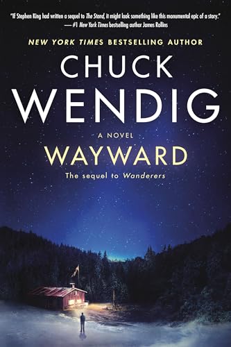 Wayward: A Novel [Paperback]