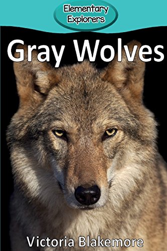 Gray Wolves (elementary Explorers) [Paperback]