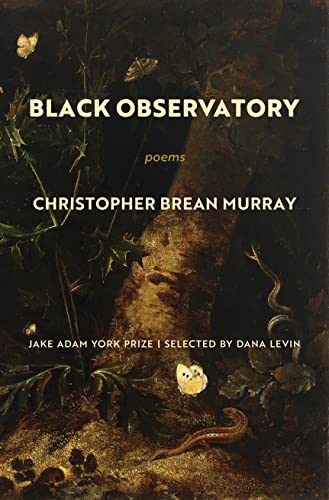 Black Observatory: Poems [Paperback]