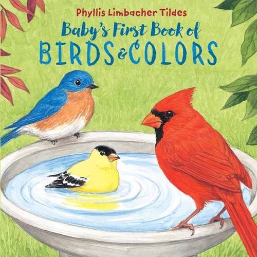 Baby's First Book of Birds & Colors [Boar