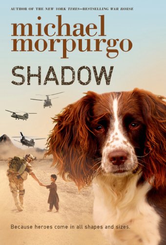 Shadow [Paperback]