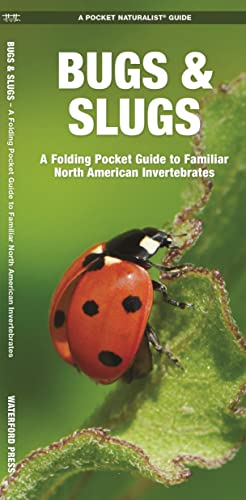 Bugs & Slugs: A Folding Pocket Guide to Familiar North American Invertebrate [Pamphlet]