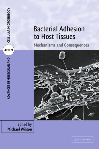 Bacterial Adhesion to Host Tissues Mechanisms and Consequences [Paperback]