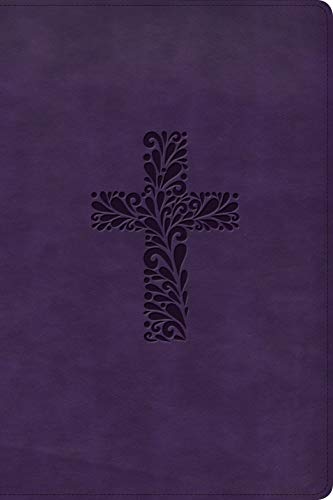 KJV Rainbo Study Bible, Purple LeatherTouch [Unknon]