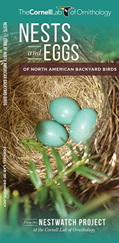 Nests and Eggs of North American Backyard Birds [Pamphlet]