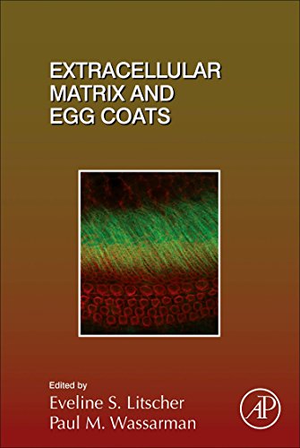 Extracellular Matrix and Egg Coats [Hardcover]