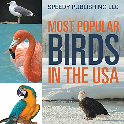 Most Popular Birds In The Usa [Paperback]