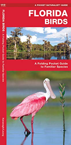 Florida Birds: A Folding Pocket Guide to Familiar Species [Pamphlet]