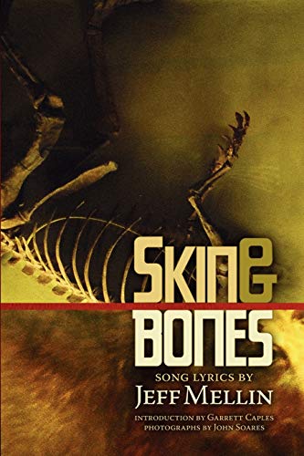 Skin & Bones Song Lyrics [Paperback]